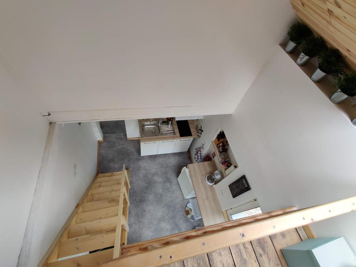 Studio Mezzanine Chez Papou, Ville Et Foret Strasbourg Exteriör bild
