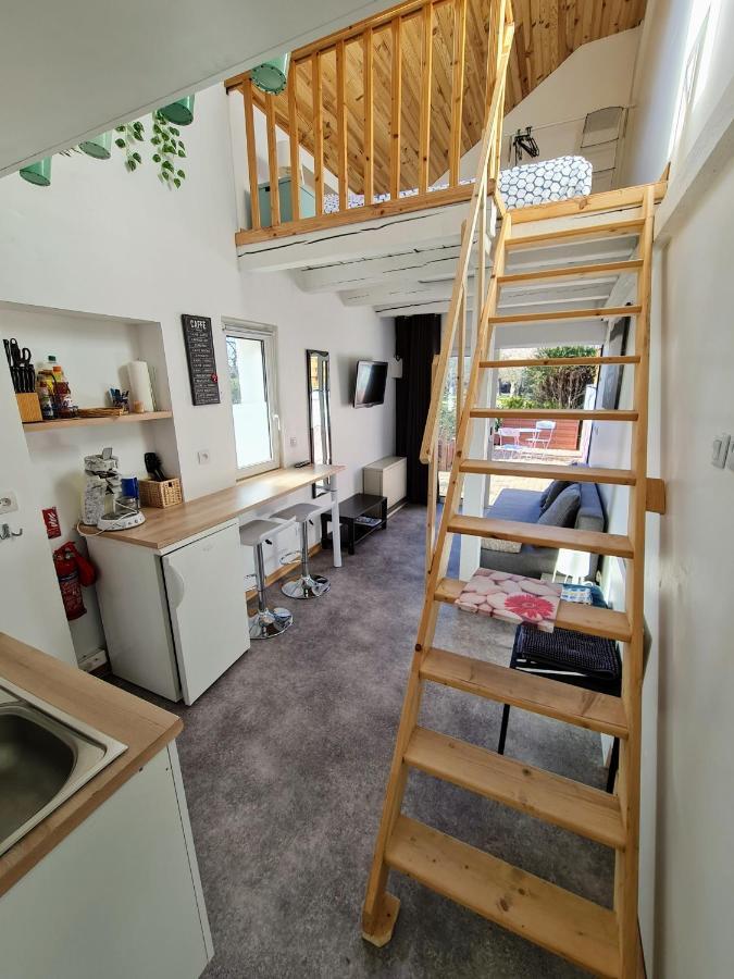 Studio Mezzanine Chez Papou, Ville Et Foret Strasbourg Exteriör bild