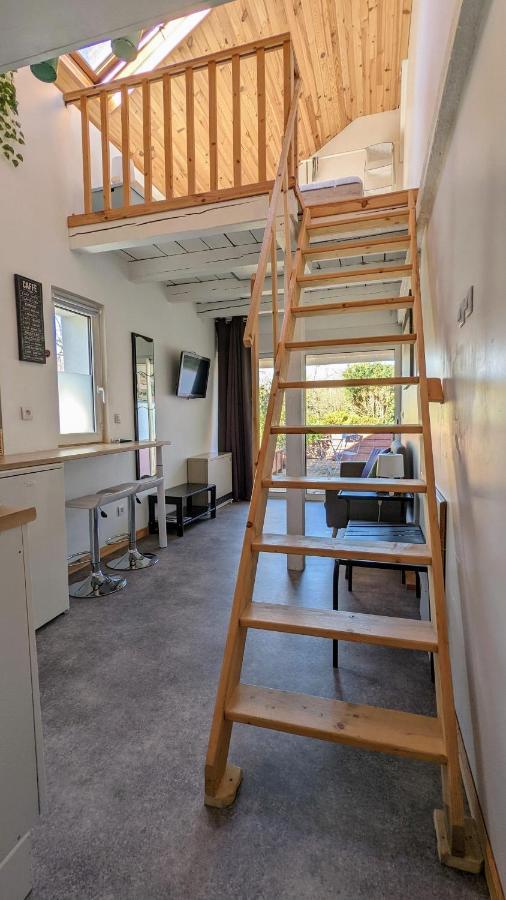 Studio Mezzanine Chez Papou, Ville Et Foret Strasbourg Exteriör bild